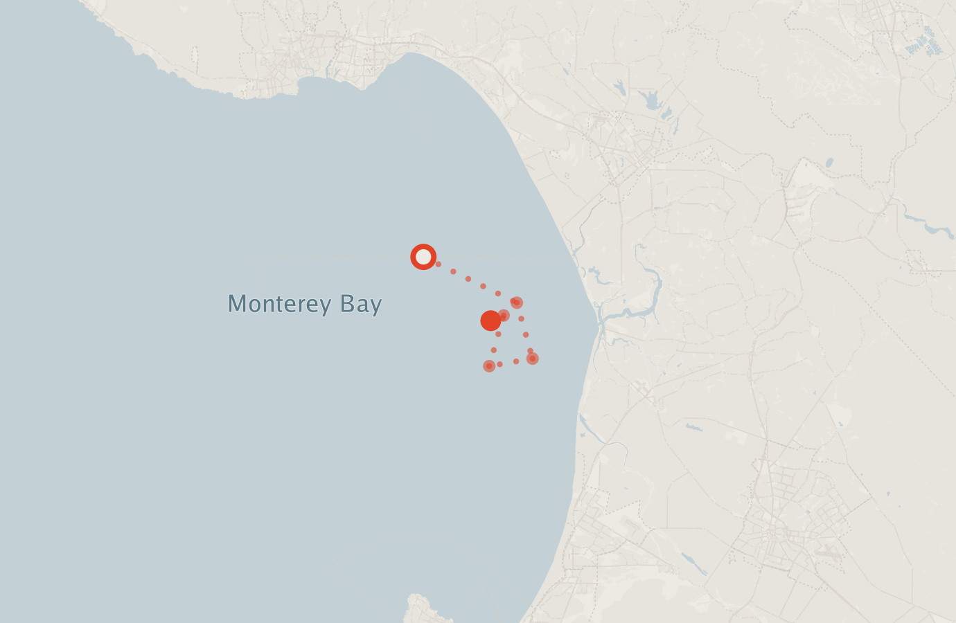 Activity map — real sighting points on an OpenStreetMap basemap