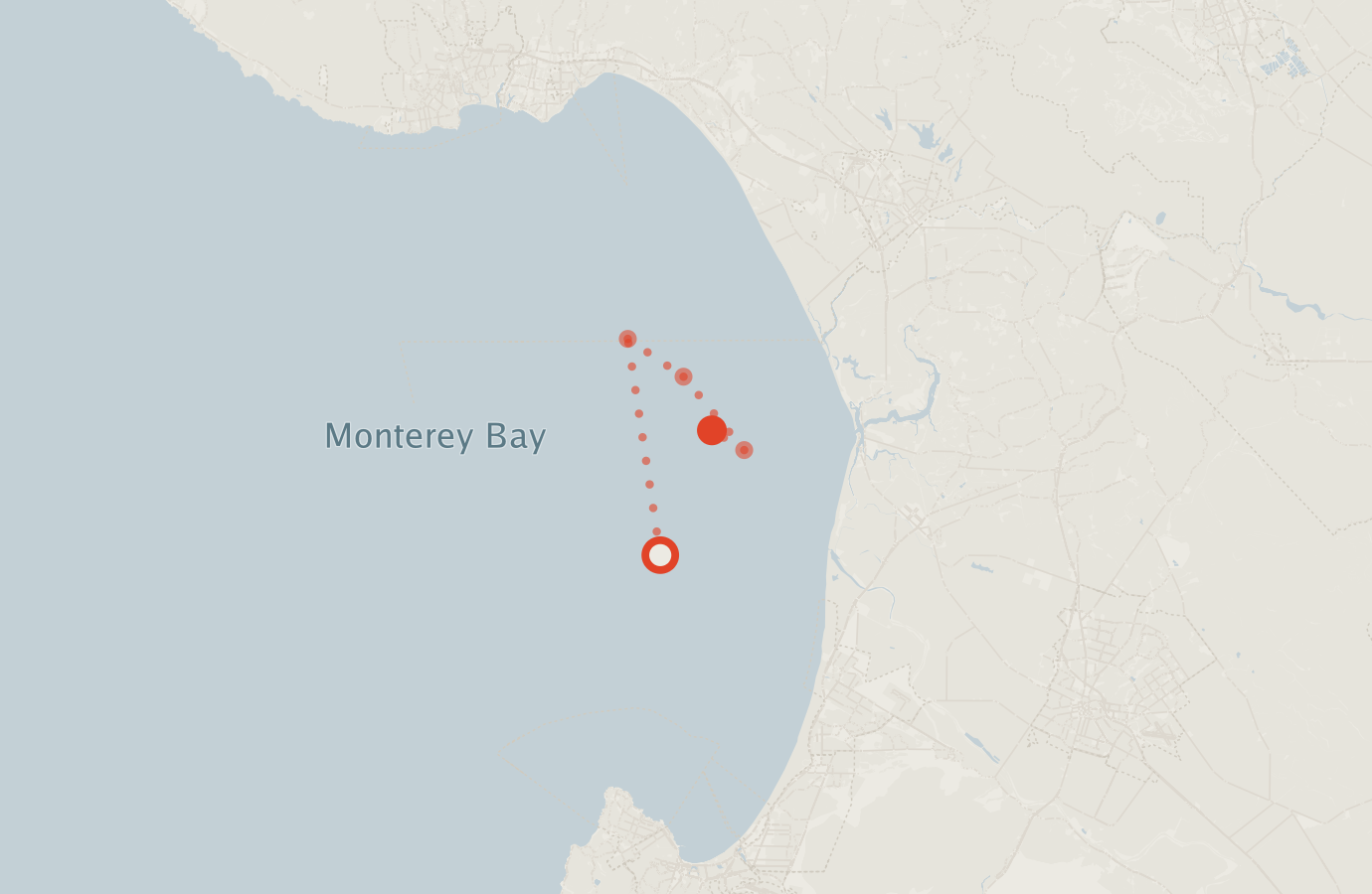 Activity map — real sighting points on an OpenStreetMap basemap