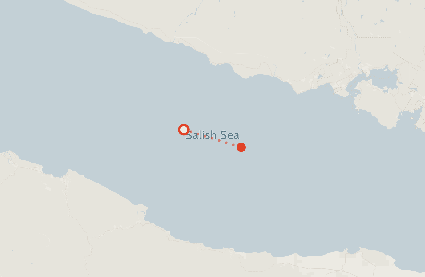Activity map — real sighting points on an OpenStreetMap basemap