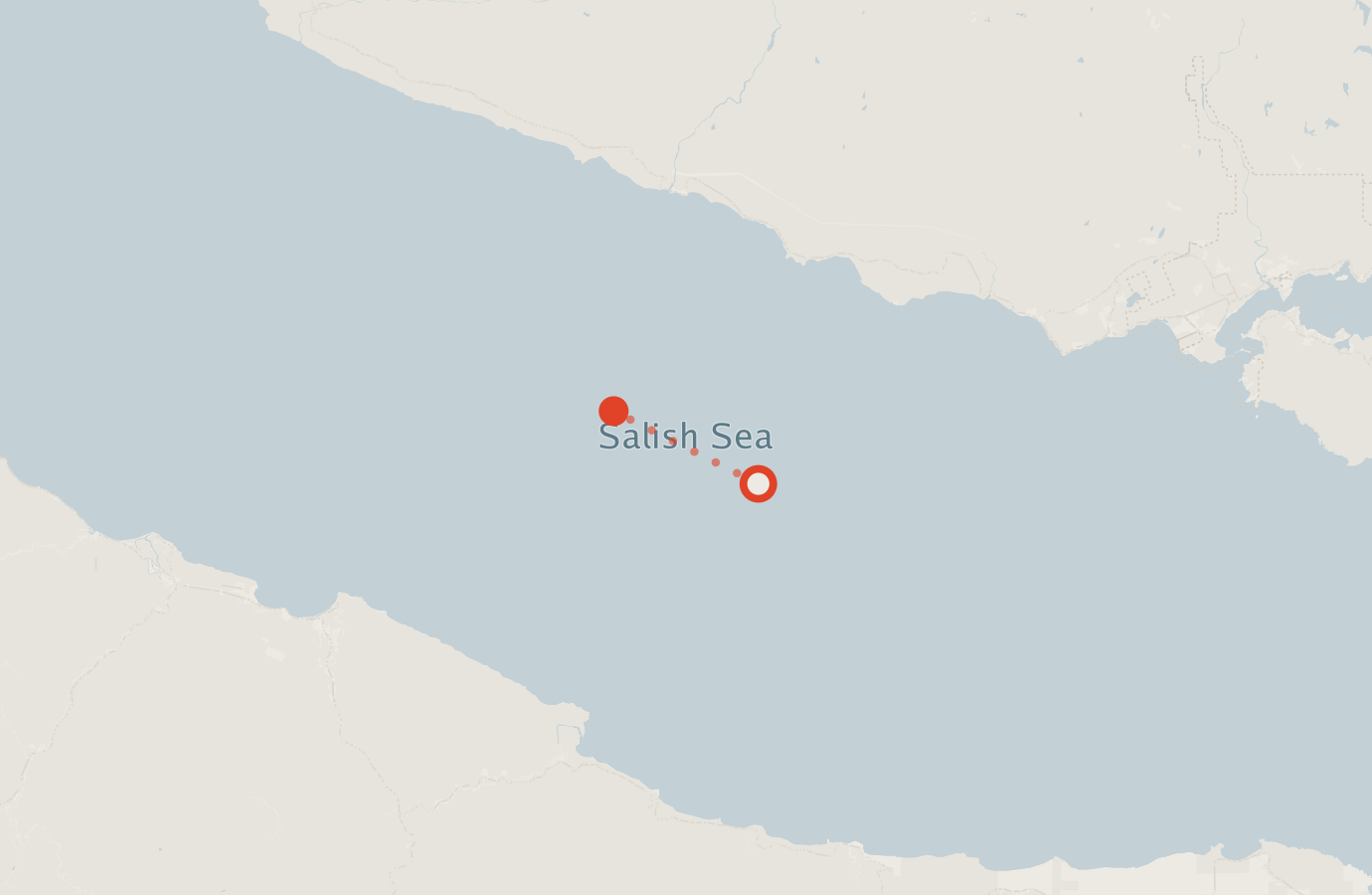 Activity map — real sighting points on an OpenStreetMap basemap