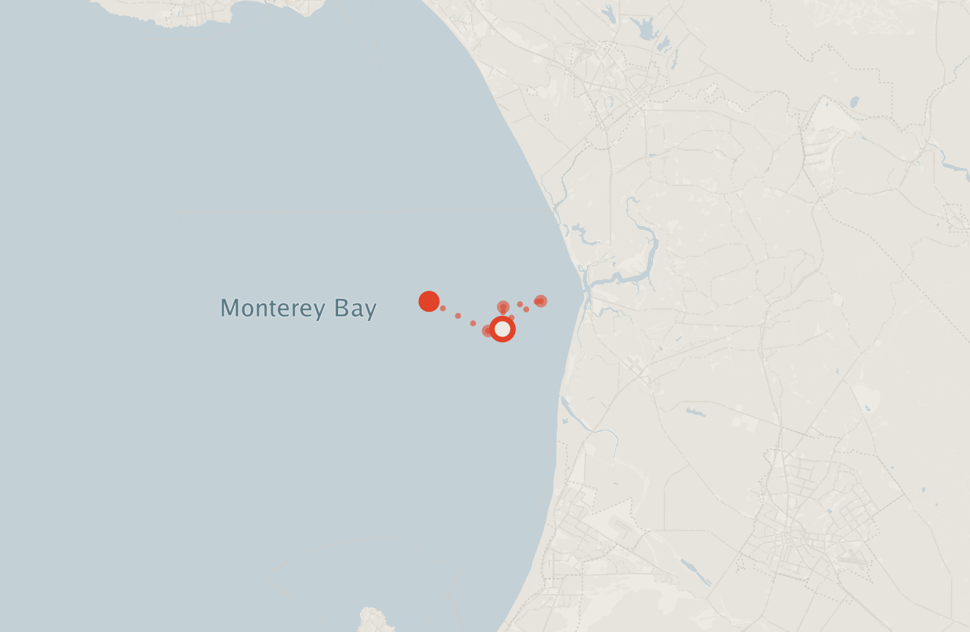 Activity map — real sighting points on an OpenStreetMap basemap