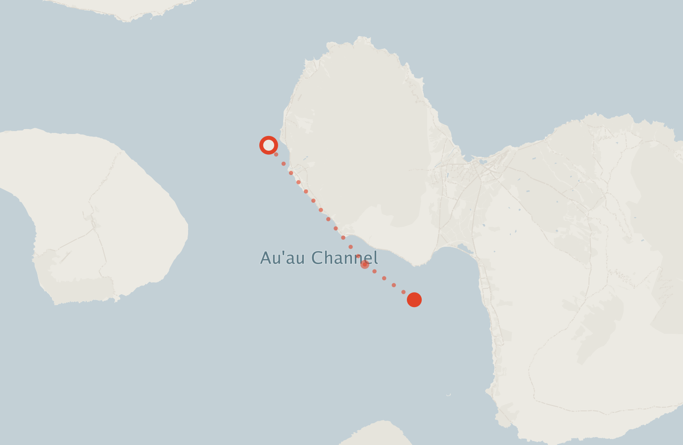 Activity map — real sighting points on an OpenStreetMap basemap