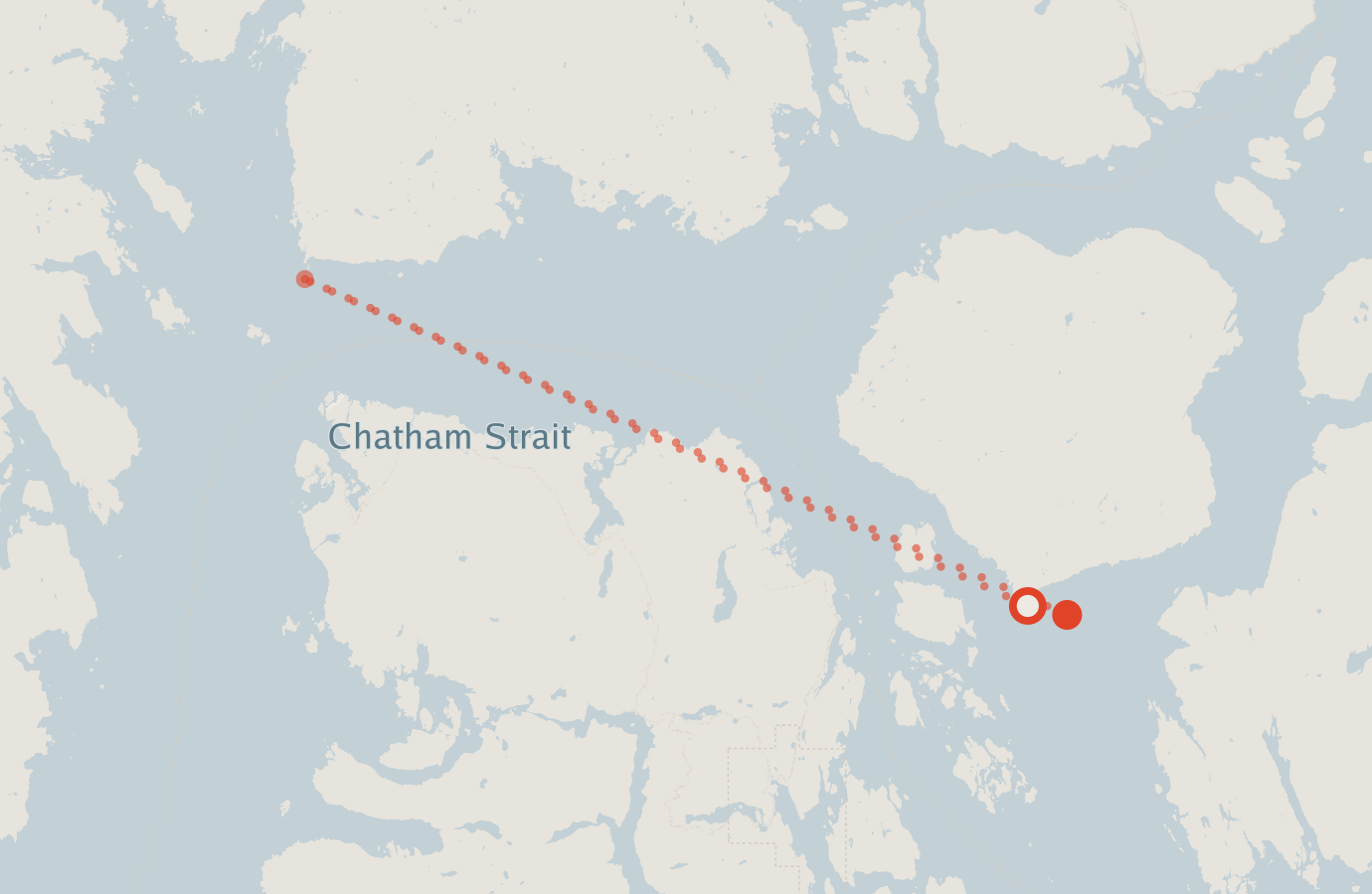 Activity map — real sighting points on an OpenStreetMap basemap