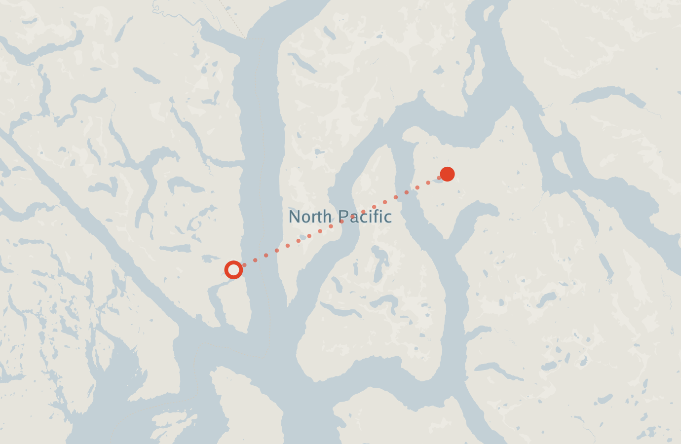 Activity map — real sighting points on an OpenStreetMap basemap