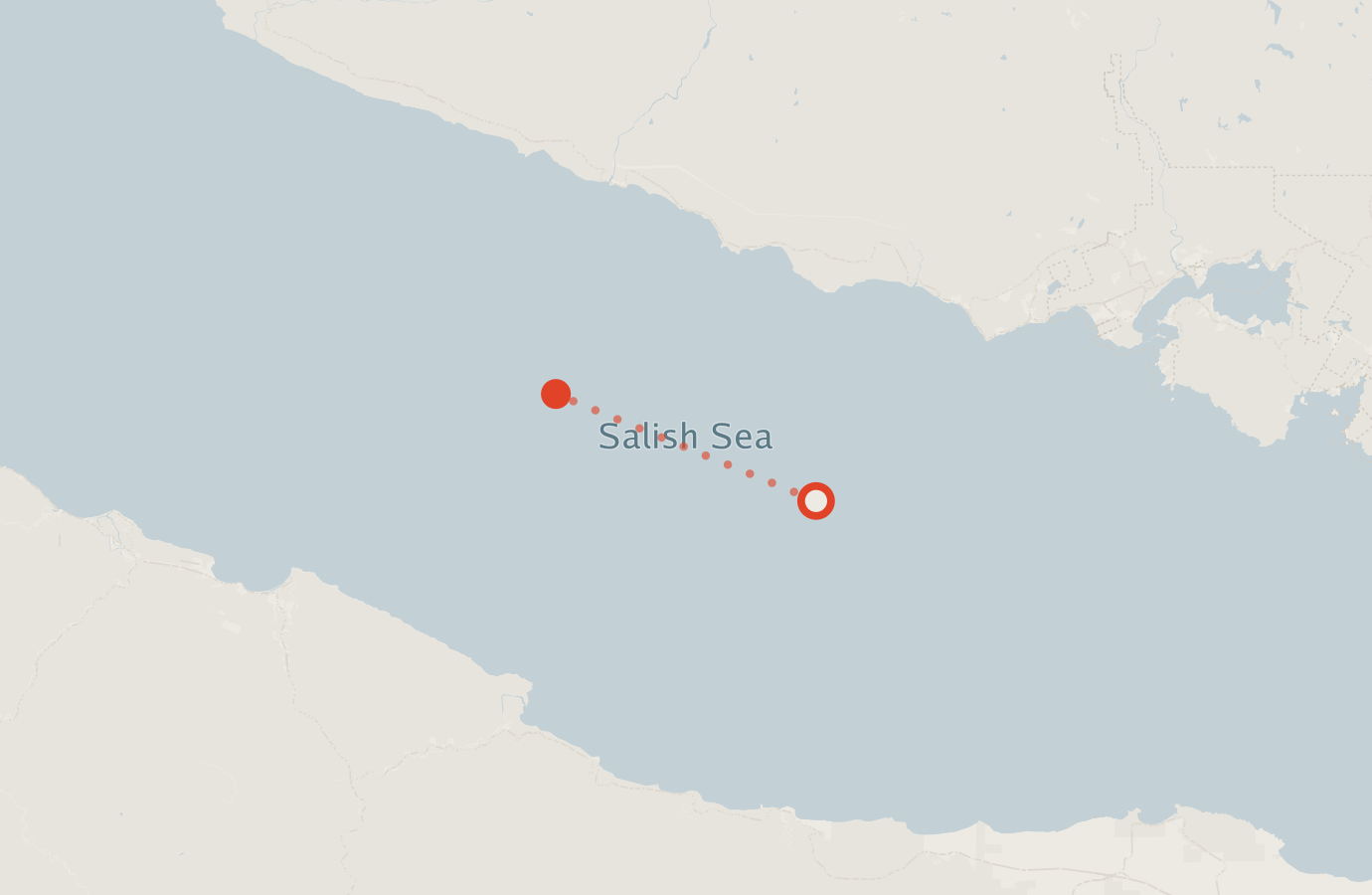 Activity map — real sighting points on an OpenStreetMap basemap
