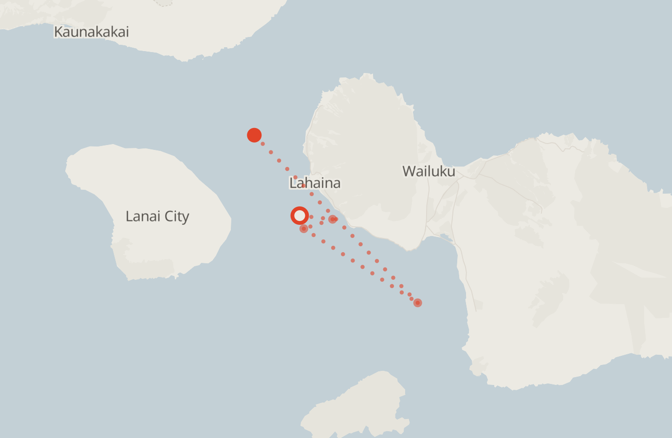 Activity map — real sighting points on an OpenStreetMap basemap