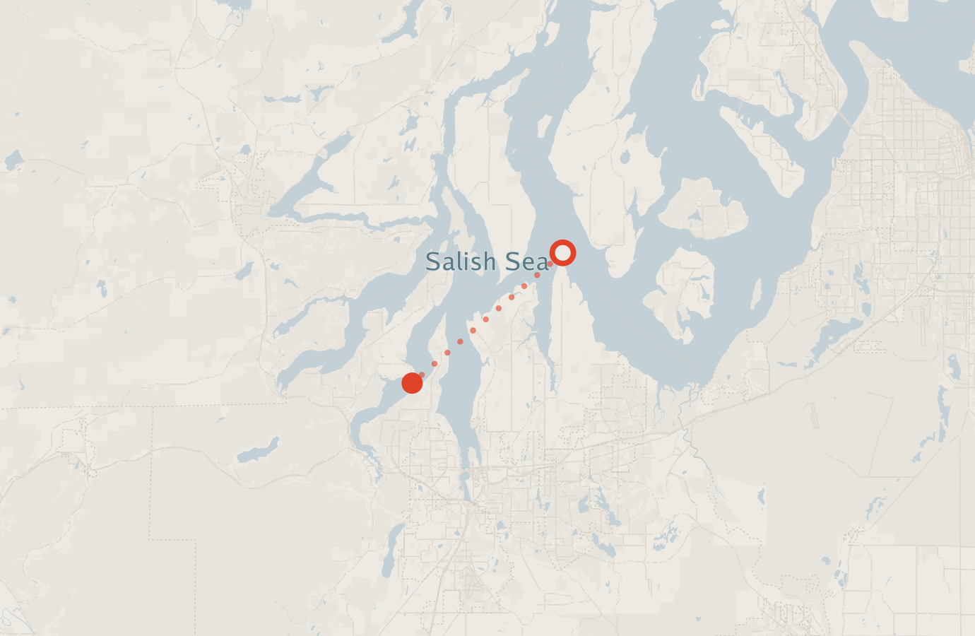 Activity map — real sighting points on an OpenStreetMap basemap