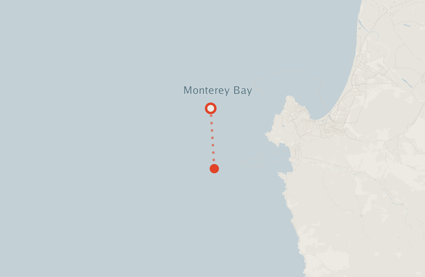 Activity map — real sighting points on an OpenStreetMap basemap