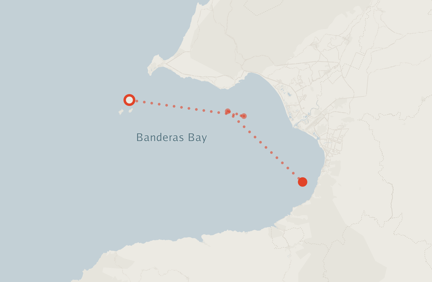 Activity map — real sighting points on an OpenStreetMap basemap