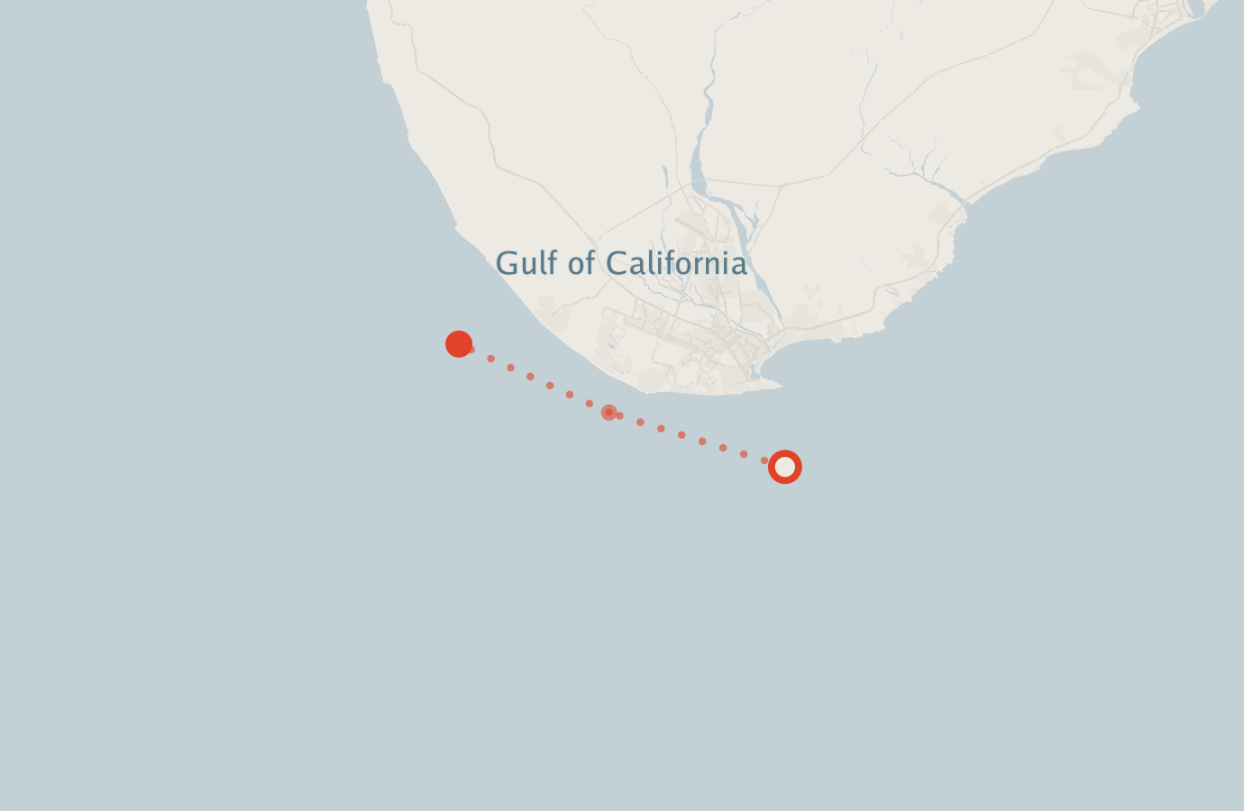 Activity map — real sighting points on an OpenStreetMap basemap