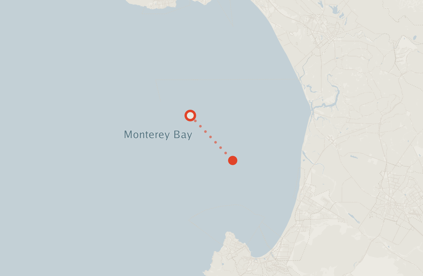 Activity map — real sighting points on an OpenStreetMap basemap