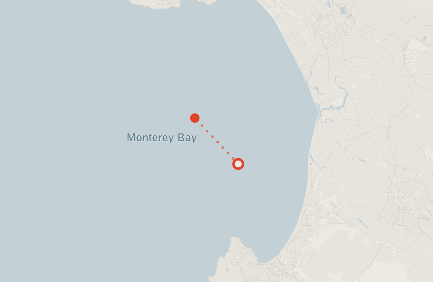 Activity map — real sighting points on an OpenStreetMap basemap