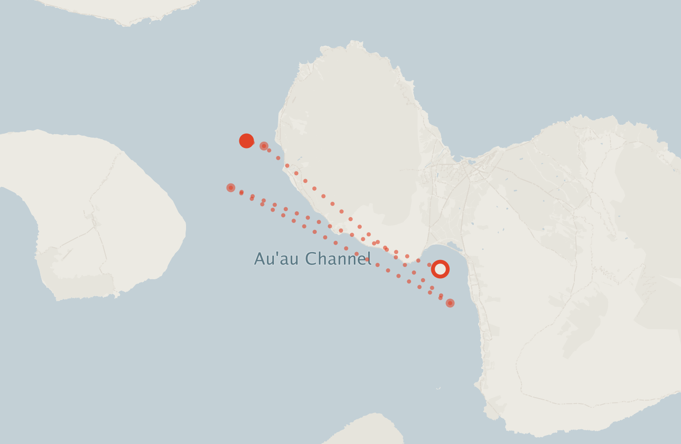 Activity map — real sighting points on an OpenStreetMap basemap