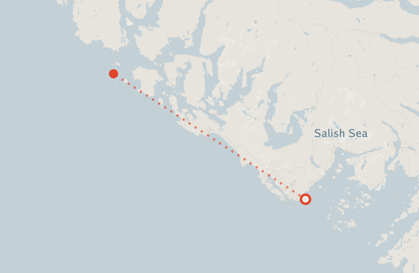 Activity map — real sighting points on an OpenStreetMap basemap
