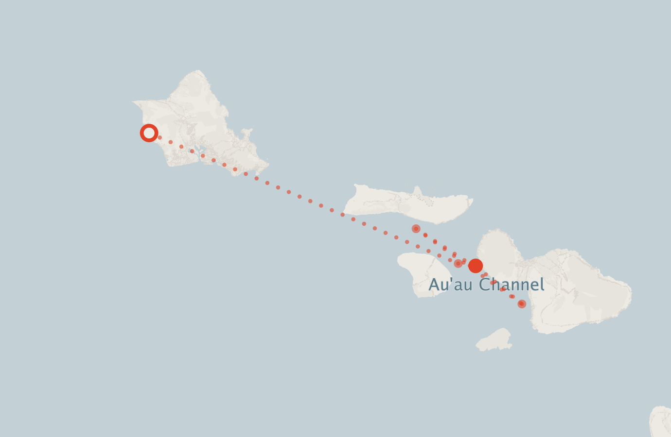 Activity map — real sighting points on an OpenStreetMap basemap