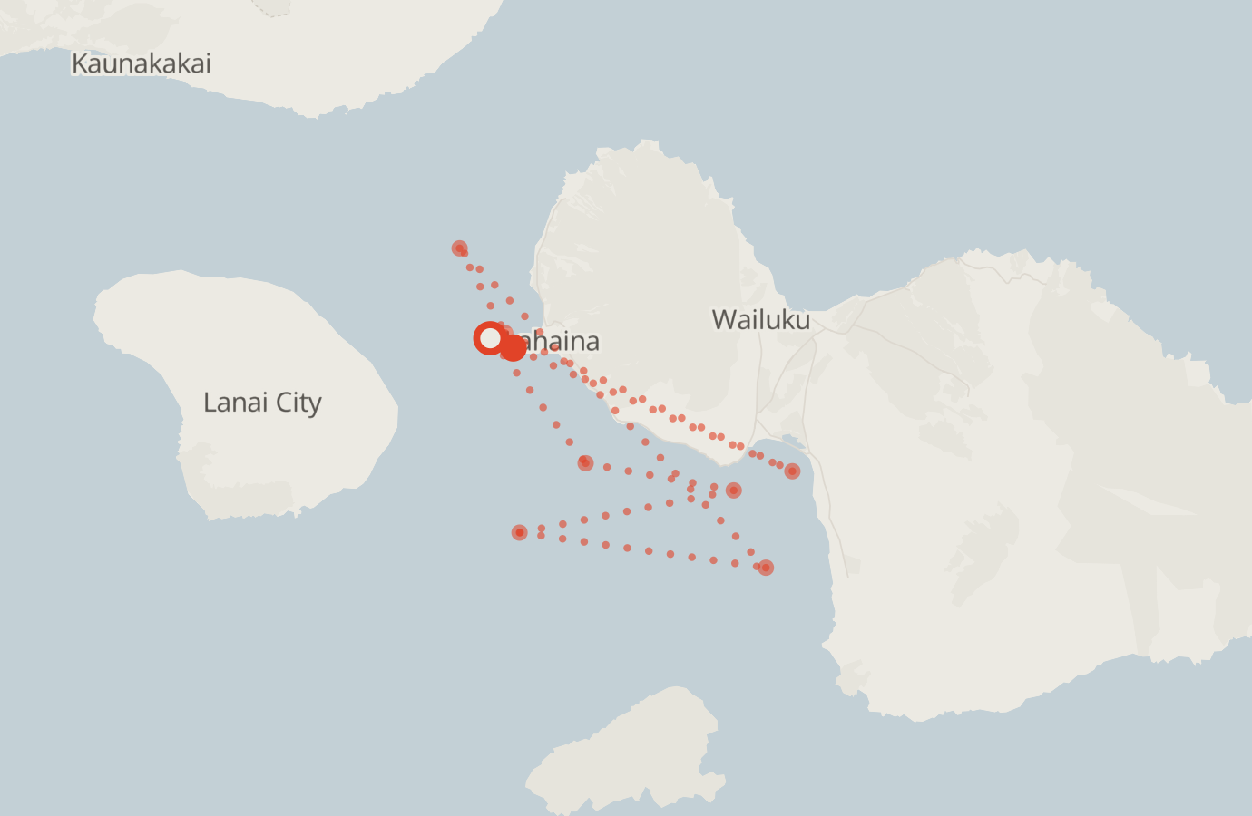 Activity map — real sighting points on an OpenStreetMap basemap