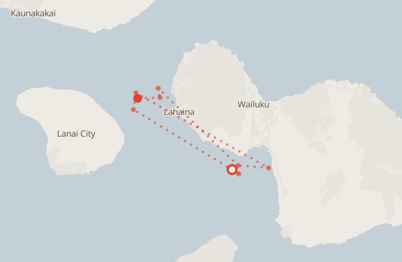 Activity map — real sighting points on an OpenStreetMap basemap