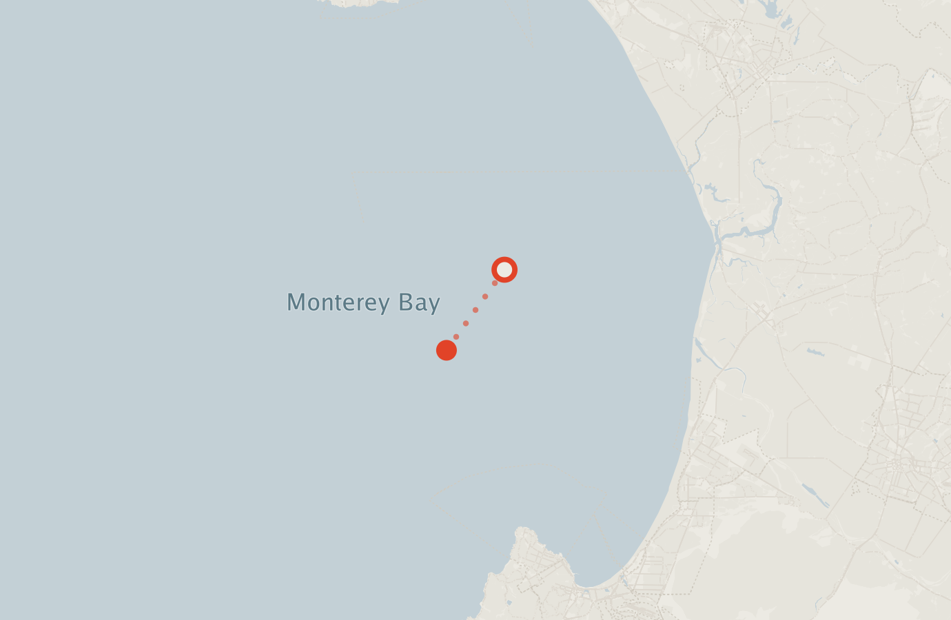 Activity map — real sighting points on an OpenStreetMap basemap
