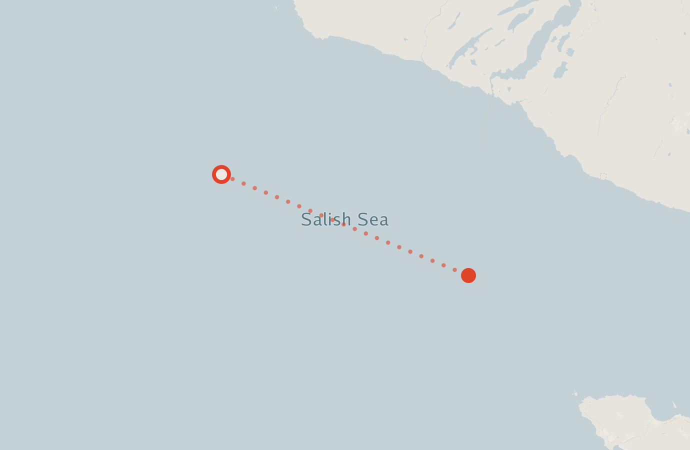 Activity map — real sighting points on an OpenStreetMap basemap