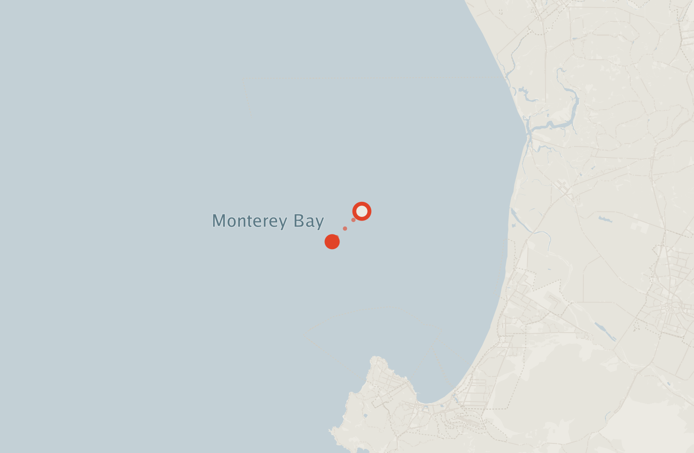 Activity map — real sighting points on an OpenStreetMap basemap