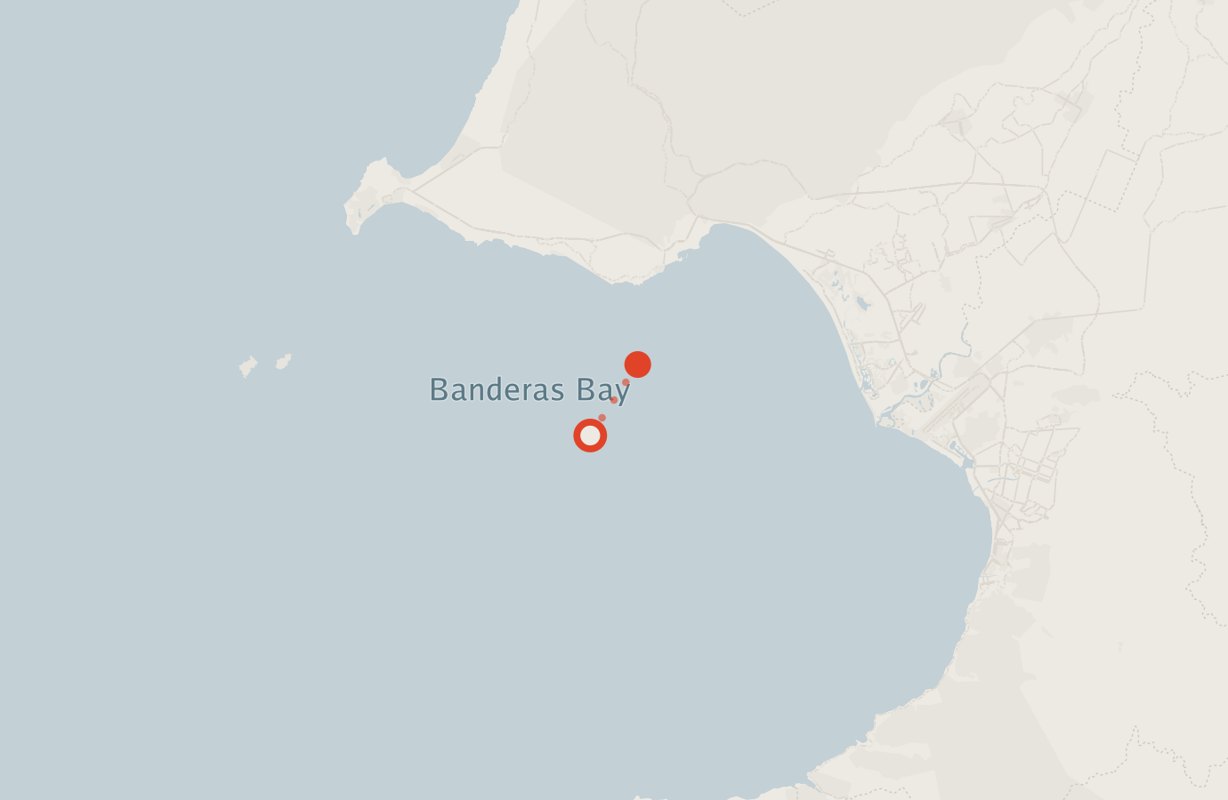 Activity map — real sighting points on an OpenStreetMap basemap