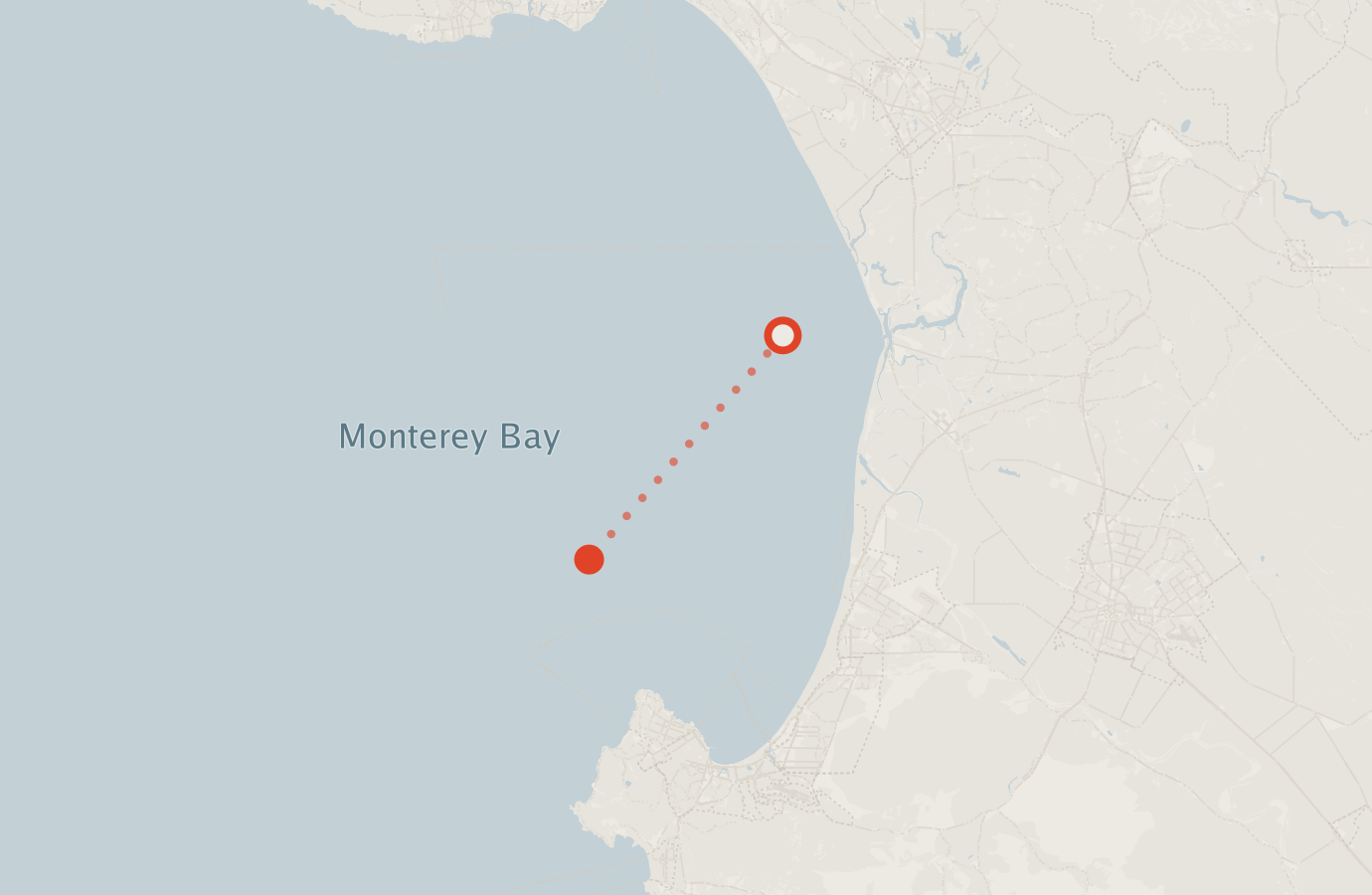 Activity map — real sighting points on an OpenStreetMap basemap