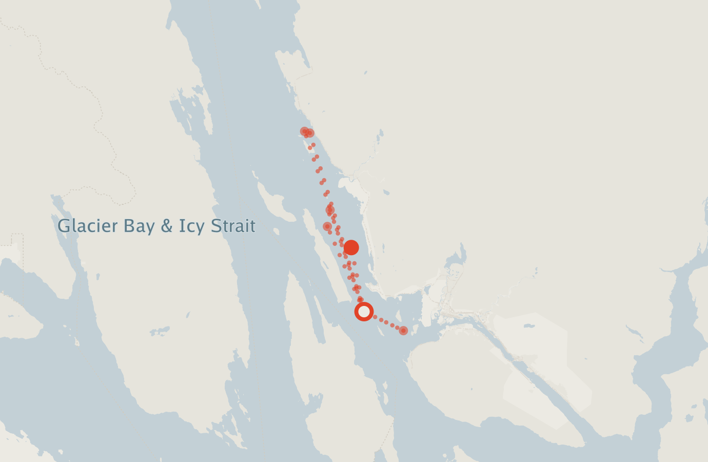 Activity map — real sighting points on an OpenStreetMap basemap