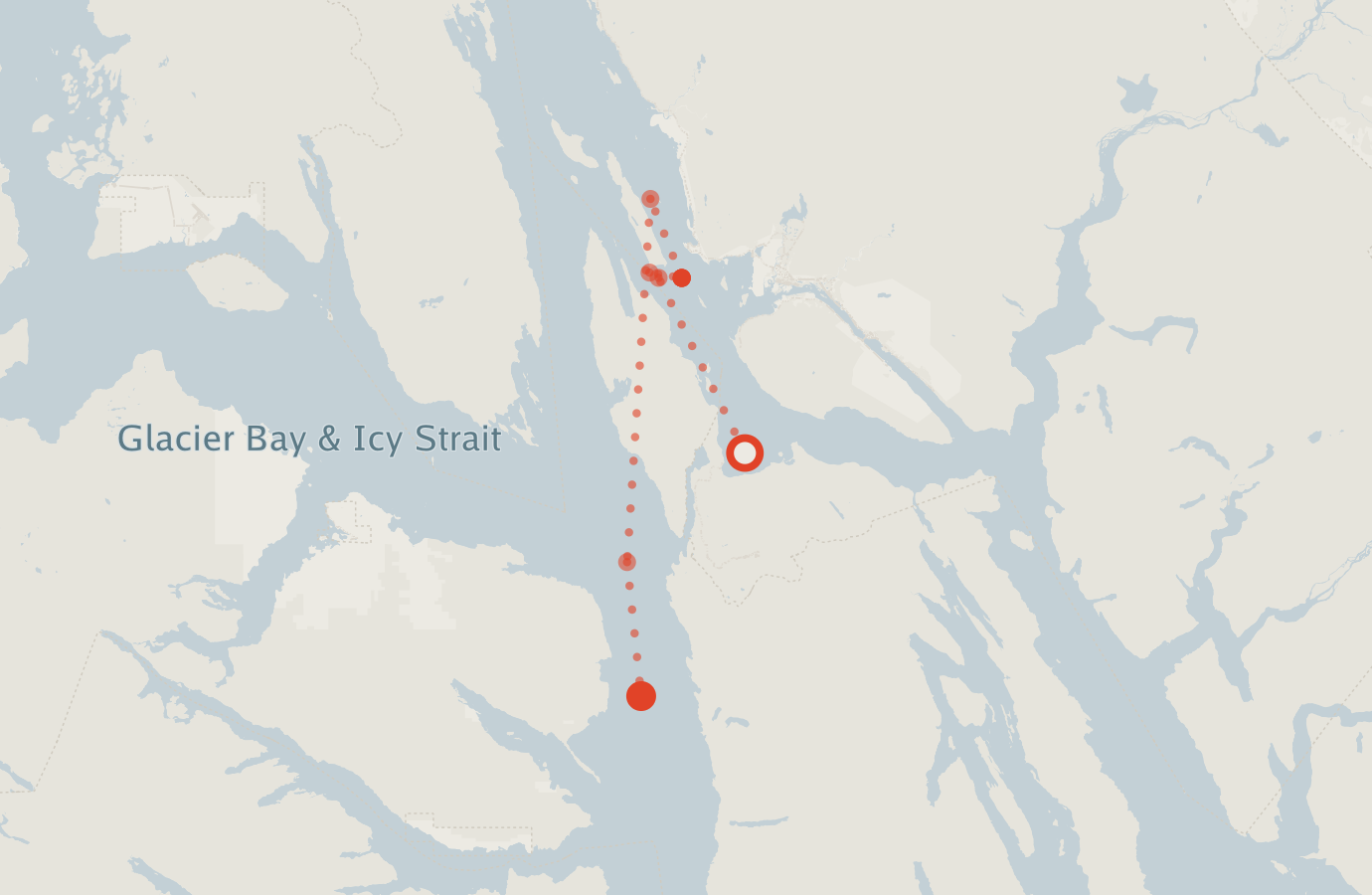 Activity map — real sighting points on an OpenStreetMap basemap