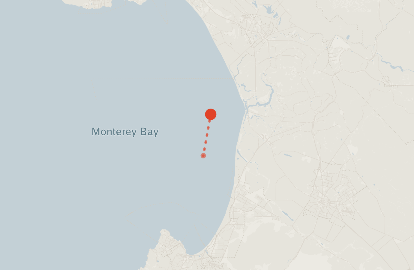 Activity map — real sighting points on an OpenStreetMap basemap