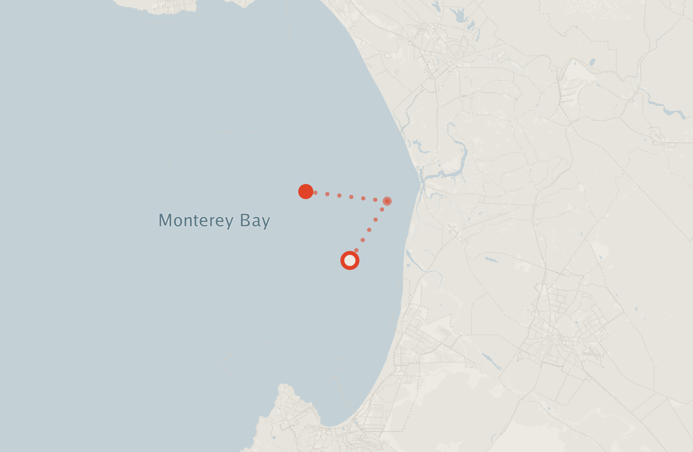 Activity map — real sighting points on an OpenStreetMap basemap