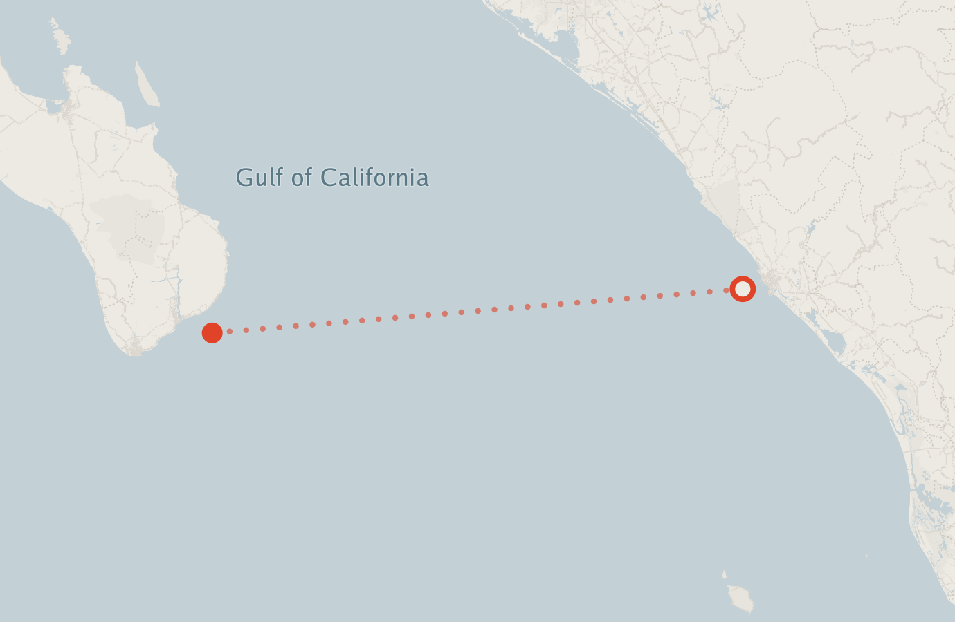 Activity map — real sighting points on an OpenStreetMap basemap