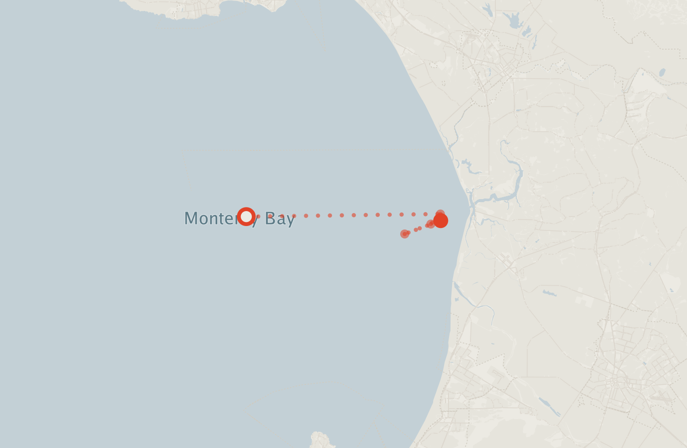 Activity map — real sighting points on an OpenStreetMap basemap
