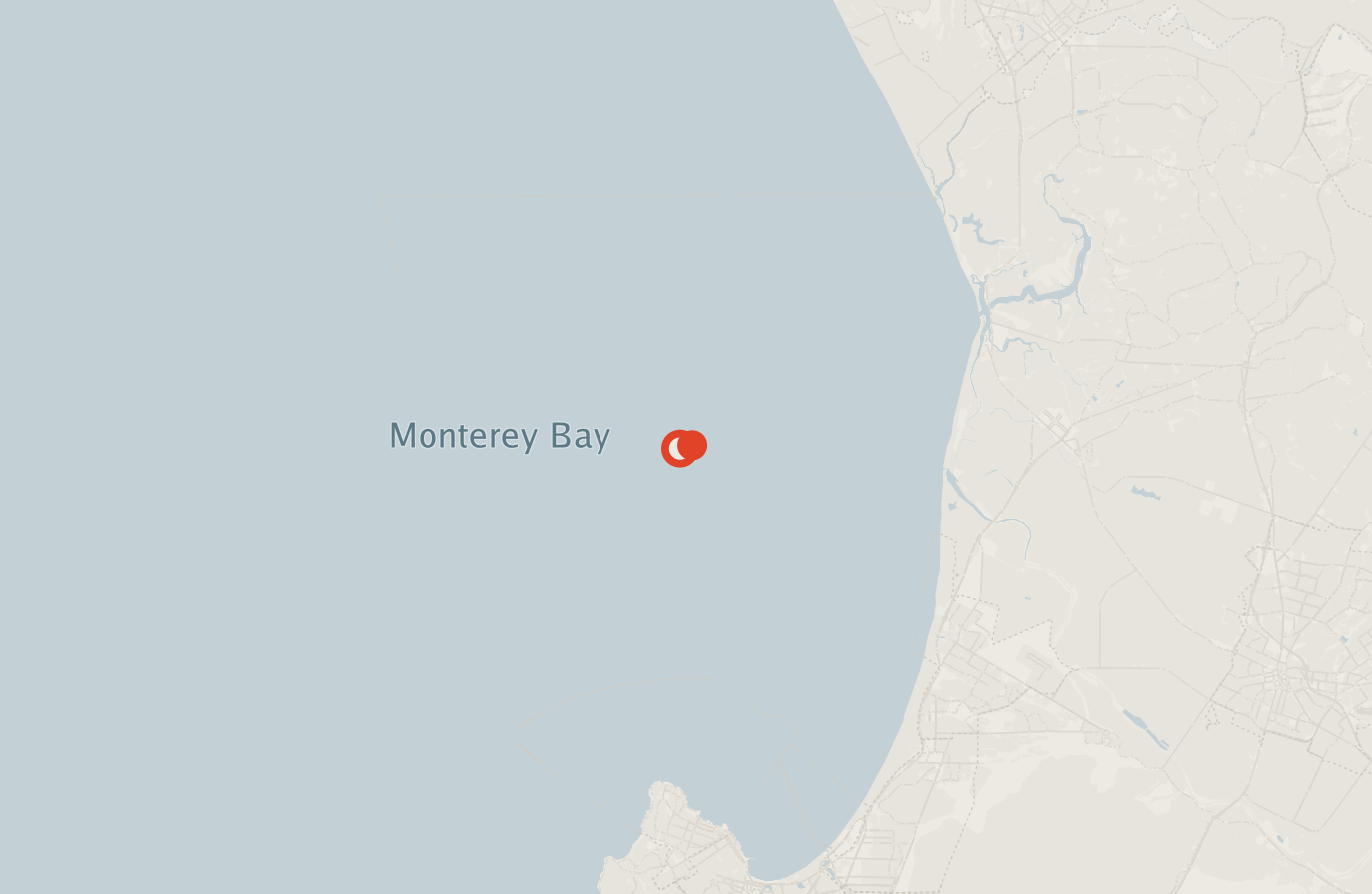Activity map — real sighting points on an OpenStreetMap basemap