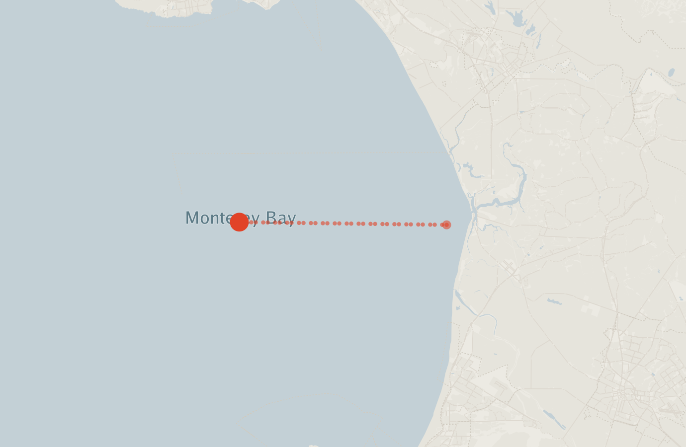 Activity map — real sighting points on an OpenStreetMap basemap