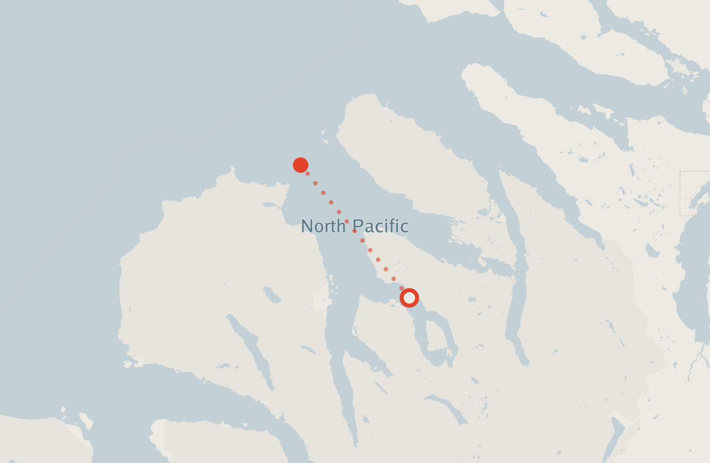 Activity map — real sighting points on an OpenStreetMap basemap