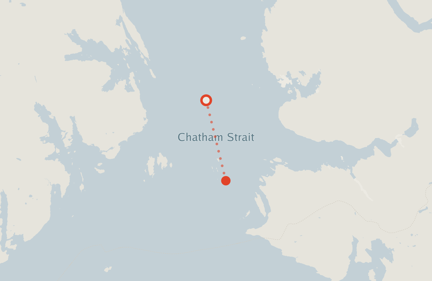 Activity map — real sighting points on an OpenStreetMap basemap