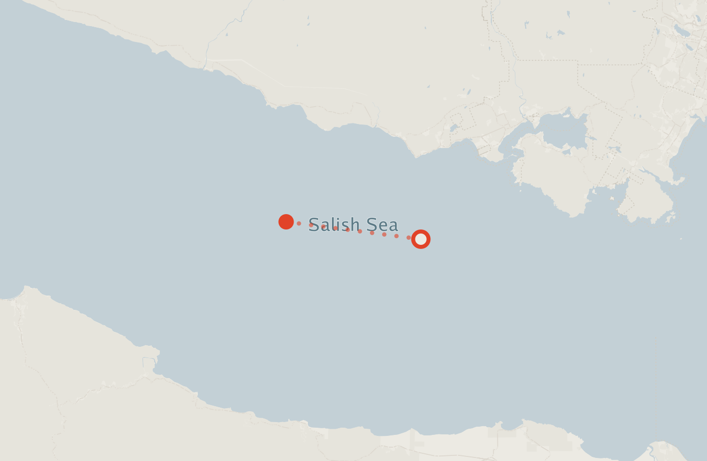 Activity map — real sighting points on an OpenStreetMap basemap