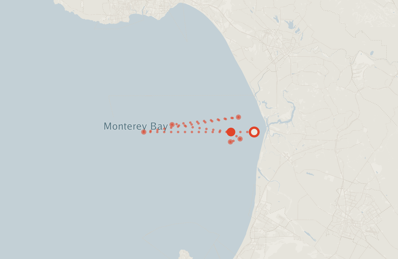 Activity map — real sighting points on an OpenStreetMap basemap