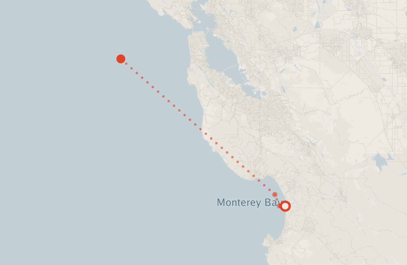 Activity map — real sighting points on an OpenStreetMap basemap