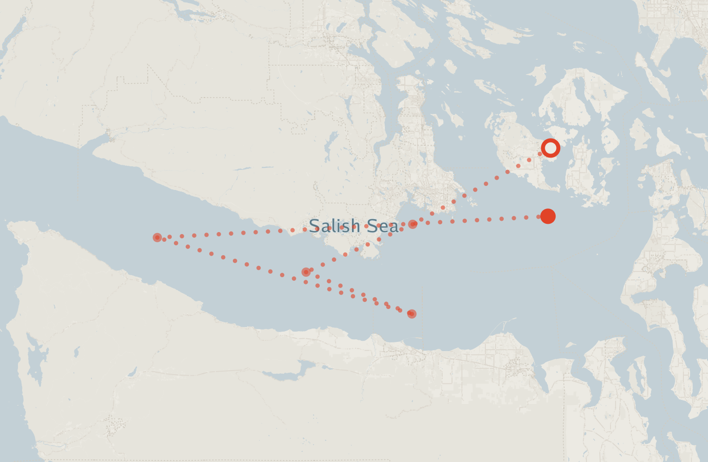 Activity map — real sighting points on an OpenStreetMap basemap