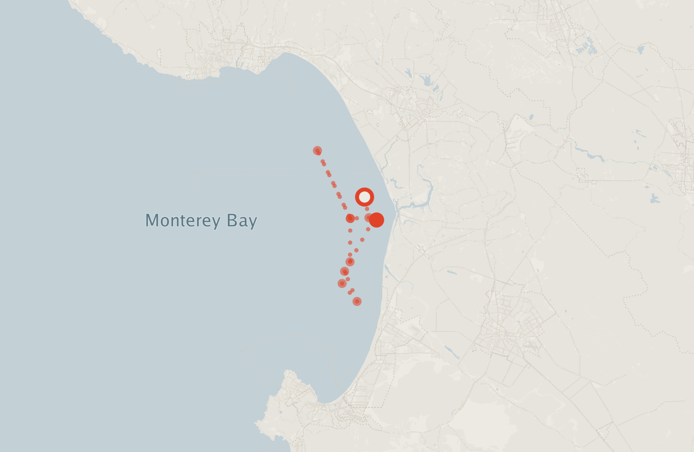 Activity map — real sighting points on an OpenStreetMap basemap