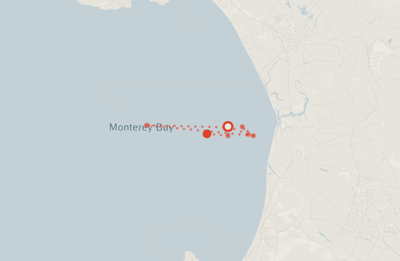 Activity map — real sighting points on an OpenStreetMap basemap