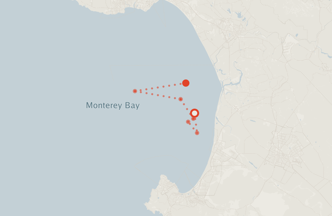 Activity map — real sighting points on an OpenStreetMap basemap