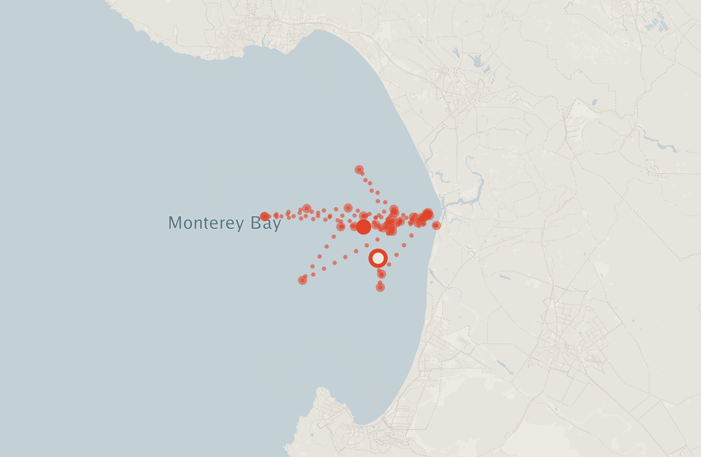 Activity map — real sighting points on an OpenStreetMap basemap