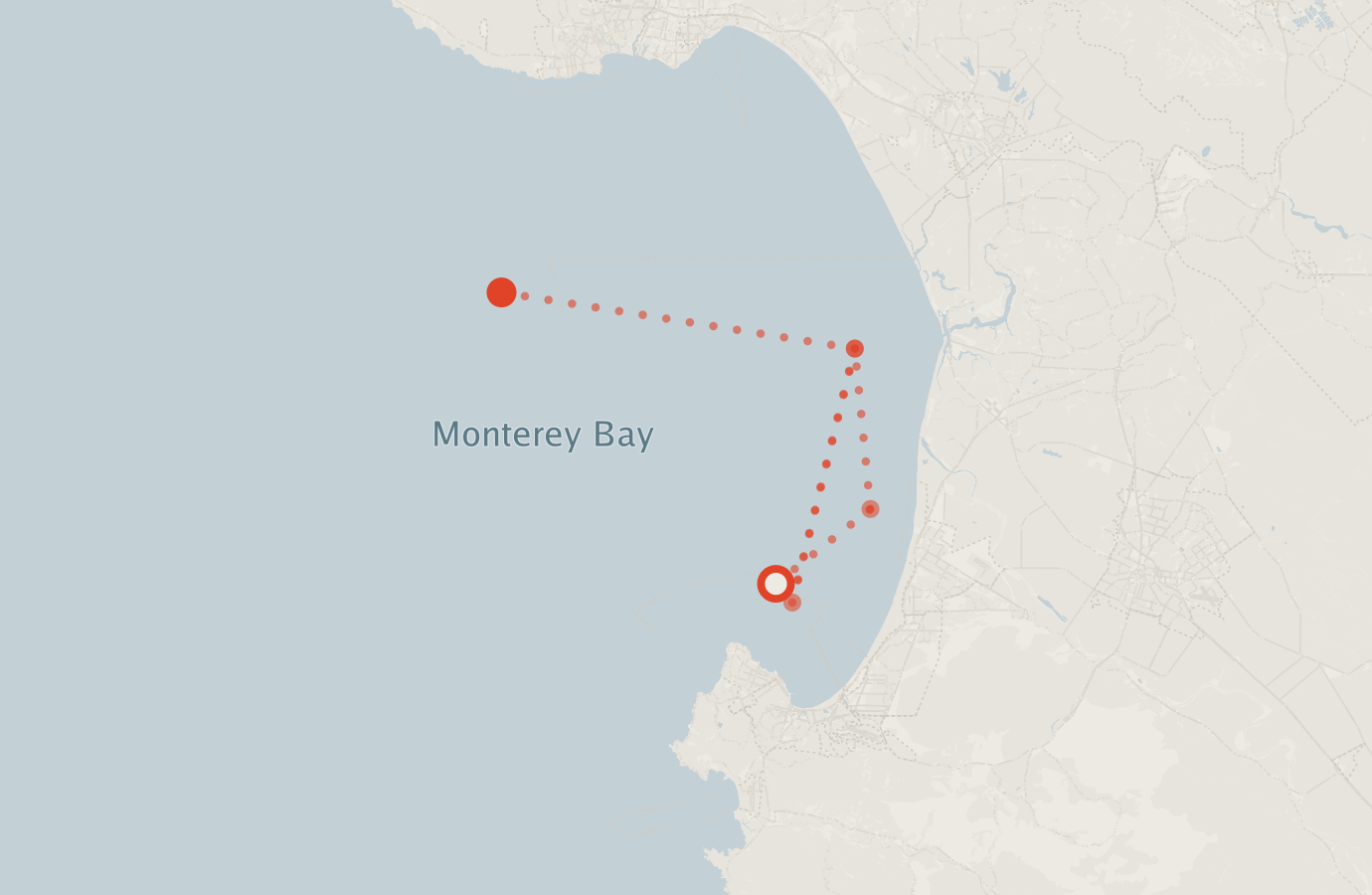 Activity map — real sighting points on an OpenStreetMap basemap