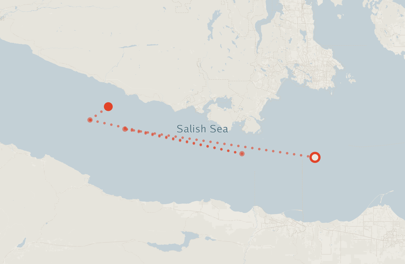 Activity map — real sighting points on an OpenStreetMap basemap