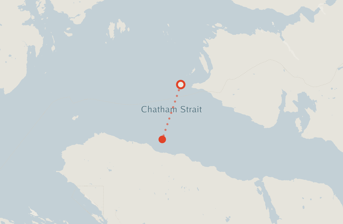 Activity map — real sighting points on an OpenStreetMap basemap