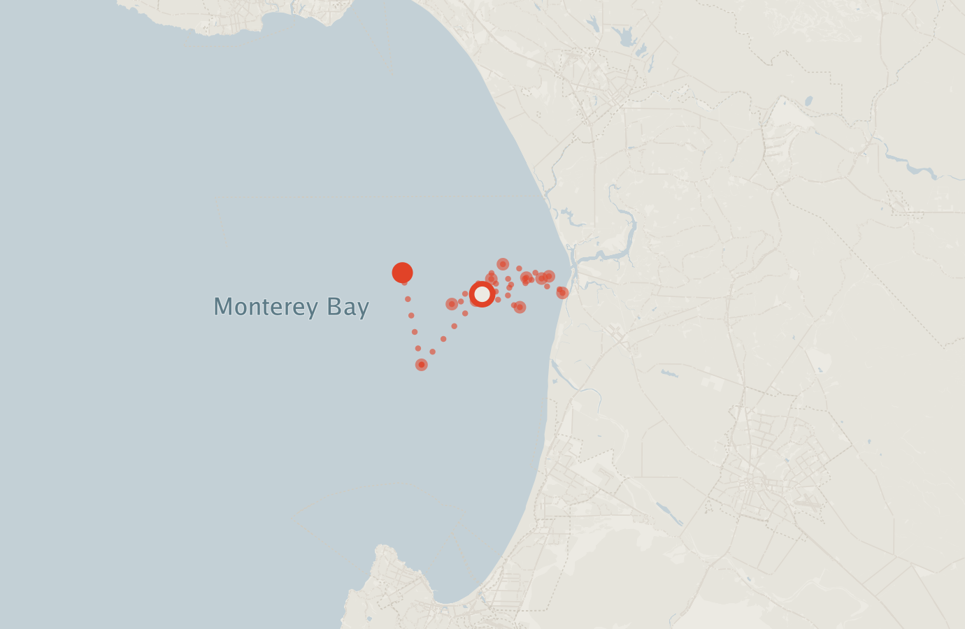 Activity map — real sighting points on an OpenStreetMap basemap