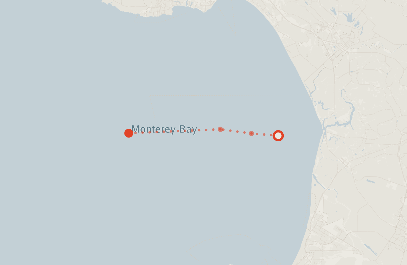 Activity map — real sighting points on an OpenStreetMap basemap