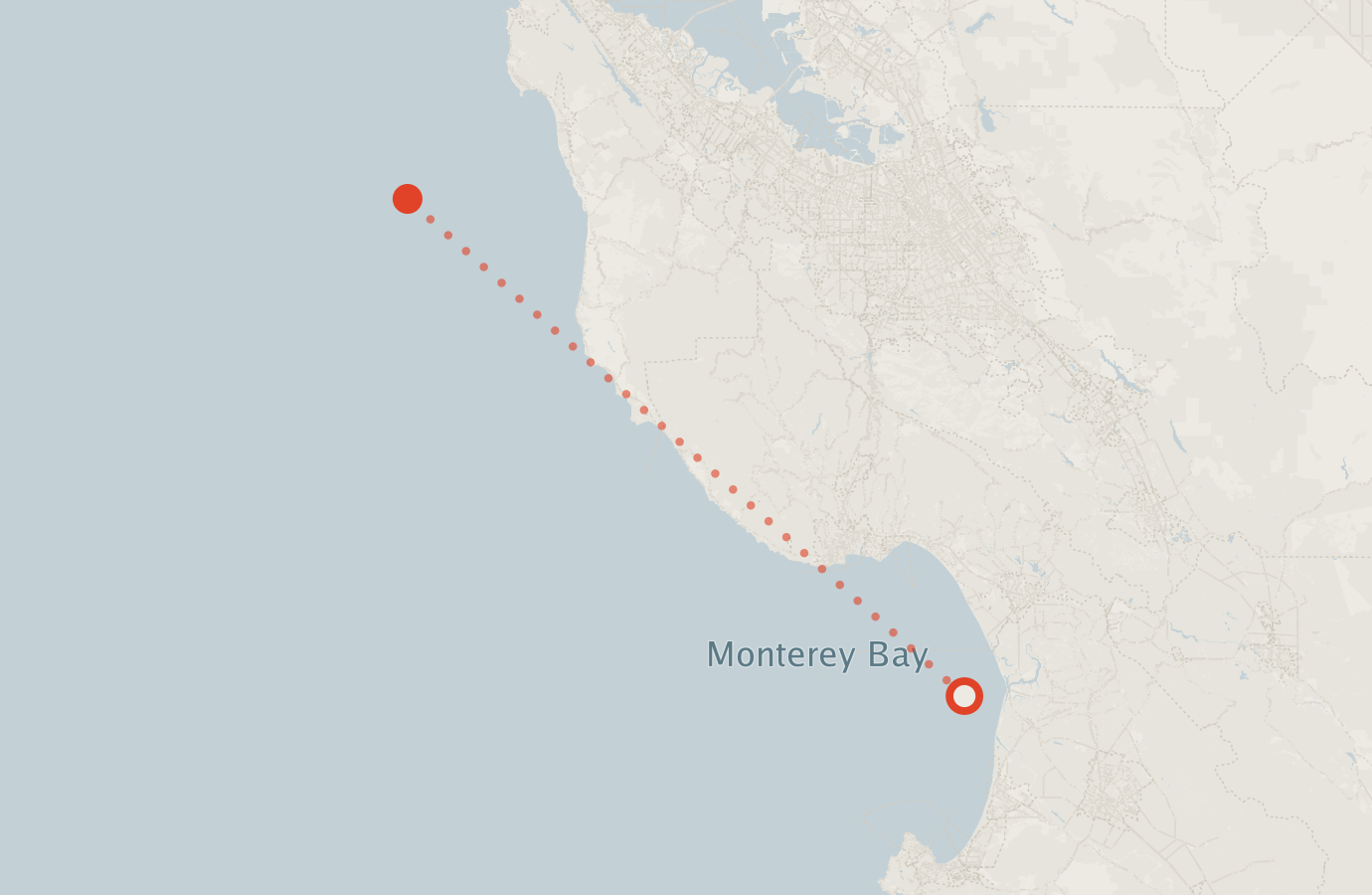 Activity map — real sighting points on an OpenStreetMap basemap